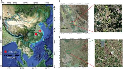 Deep-agriNet: a lightweight attention-based encoder-decoder framework for crop identification using multispectral images
